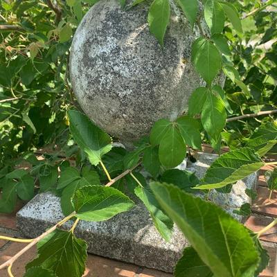 Nice pair of cement / concrete sitting lions with a set of cement/concrete balls ( 4 piece set)