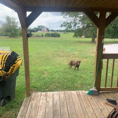 Large storage shed or tiny house shell with 2 lofts