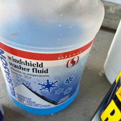 Trashcan of Household Chemicals