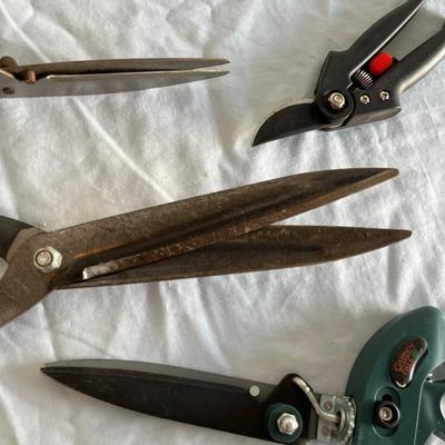 Tree Trimmers & other