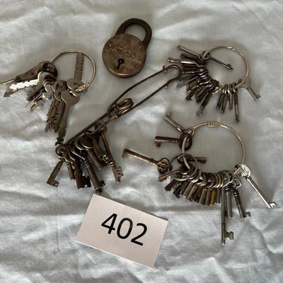 Lot of Skeleton Keys