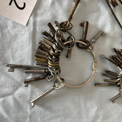 Lot of Skeleton Keys