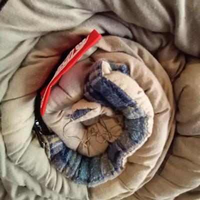LOT 31 TWO COLEMAN SLEEPING BAGS