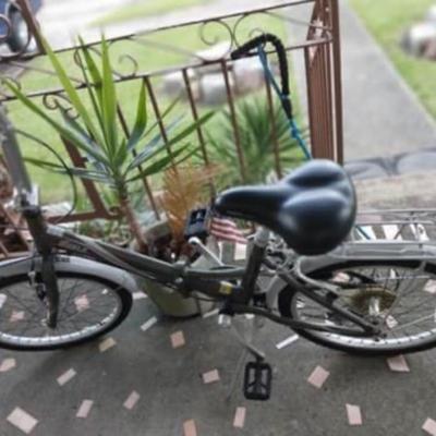 Schwinn 20â€ Womens Foldable Bike with 7 Speeds