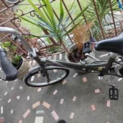 Schwinn 20â€ Womens Foldable Bike with 7 Speeds