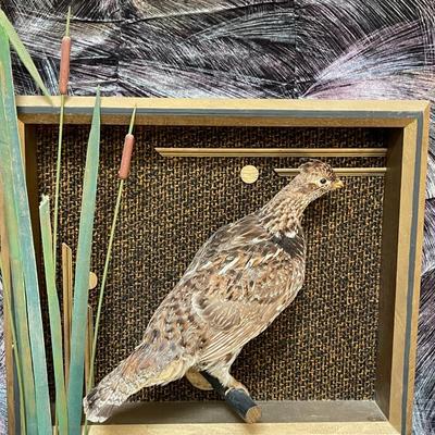 Taxidermy Grouse in frame