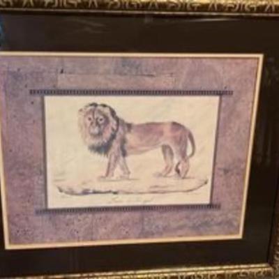 Framed Lion of Senegal print