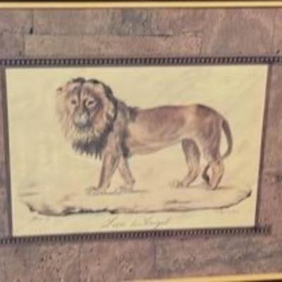 Framed Lion of Senegal print
