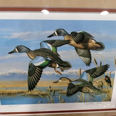 LOT 81  DUCKS UNLIMITED STAMP PRINT AND MORE