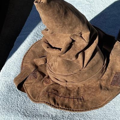 Harry Potter talking sorting hat