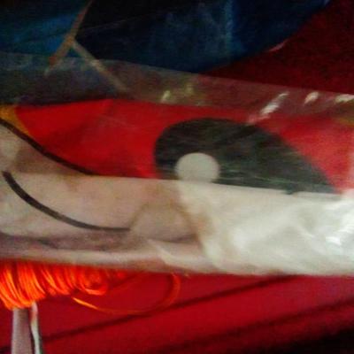 LOT 123 KITES AND STRING