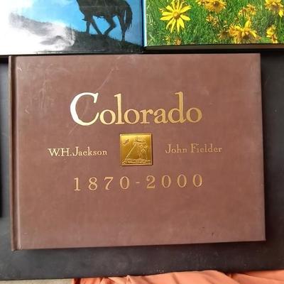 LOT 129 COLORADO BOOKS