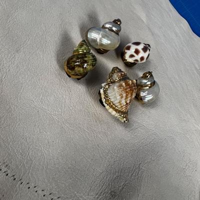 5 Real Sea Shell Button Covers 