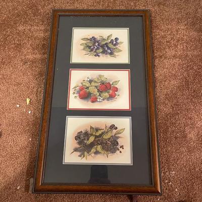 Framed and Signed Berry Print by Webb