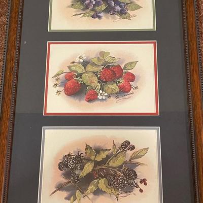 Framed and Signed Berry Print by Webb