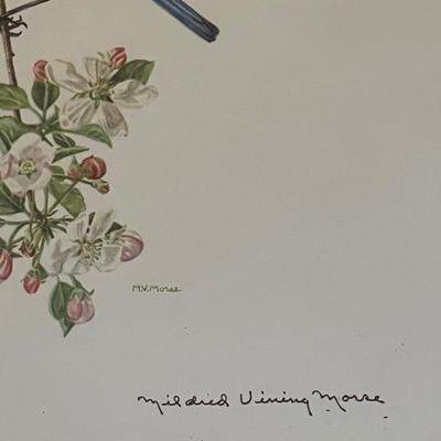 Vintage Mildred Morse Signed Bird Lithograph