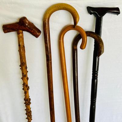 Wood Cane Collection. (GR-JM)