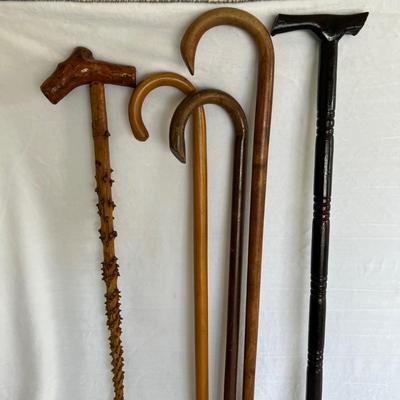 Wood Cane Collection. (GR-JM)