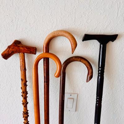 Wood Cane Collection. (GR-JM)