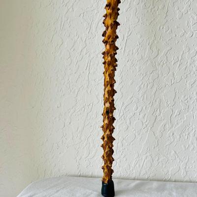 Wood Cane Collection. (GR-JM)