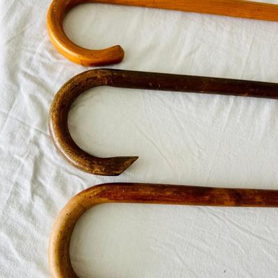 Wood Cane Collection. (GR-JM)