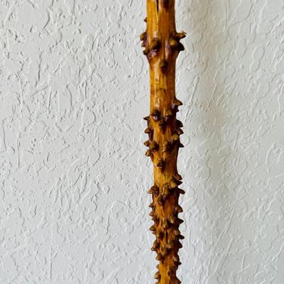 Wood Cane Collection. (GR-JM)