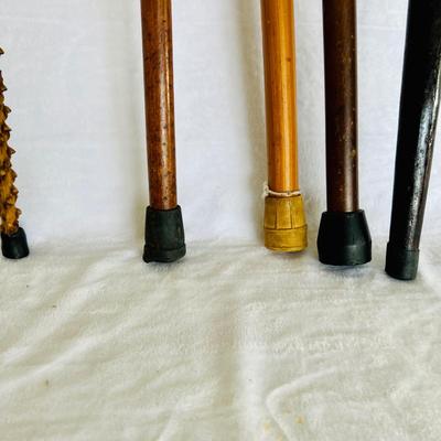 Wood Cane Collection. (GR-JM)
