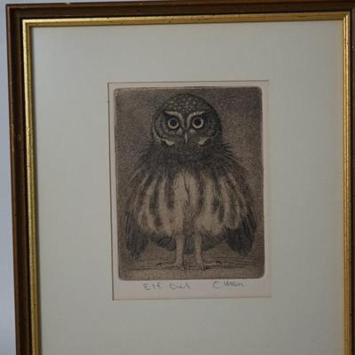 SHERIDAN OMAN ETCHING ( southwest artist) & AQUATINT" ELF OWL"  1975  MATTED AND FRAMED