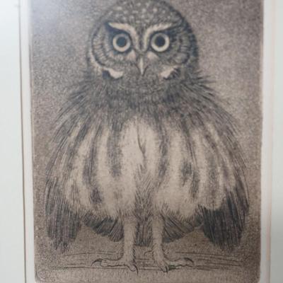 SHERIDAN OMAN ETCHING ( southwest artist) & AQUATINT" ELF OWL"  1975  MATTED AND FRAMED