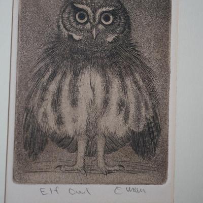 SHERIDAN OMAN ETCHING ( southwest artist) & AQUATINT" ELF OWL"  1975  MATTED AND FRAMED