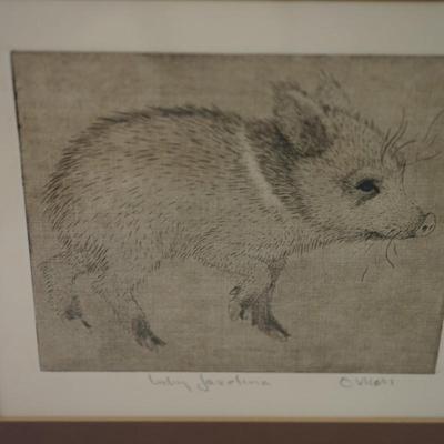 SHERIDAN OMAN 1926-1997( SOUTHWEST ARTIST)  ETCHING & AQUATINT " BABY JAVELINIA' MATTED AND FRAMED