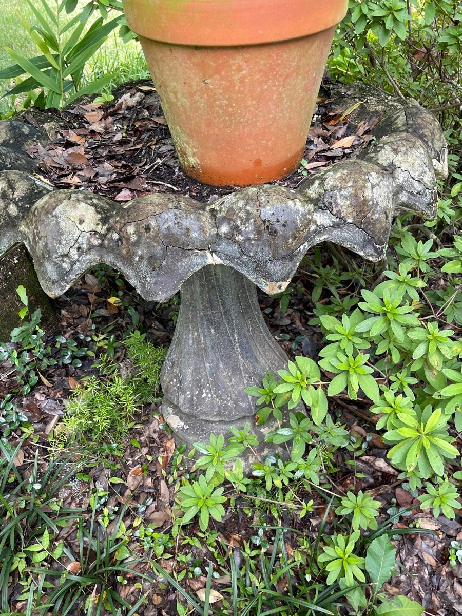 Antique Concrete Bird Bath Has Wear