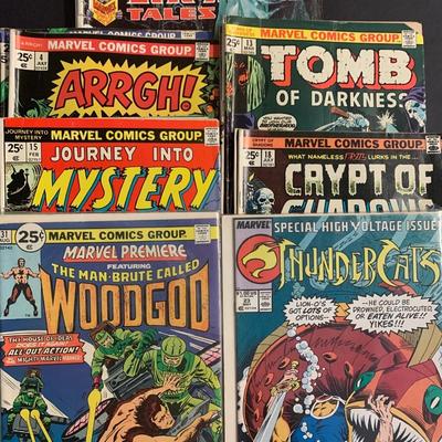 LOT 22R Marvel & More Comic Collection