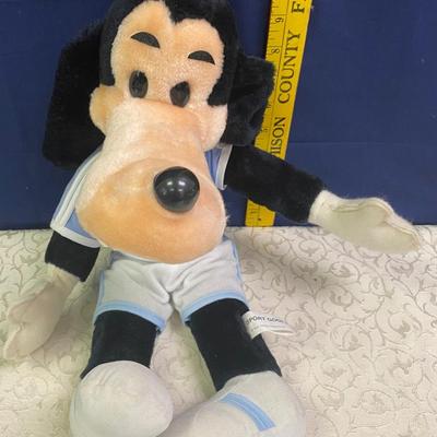 Sport Goofy