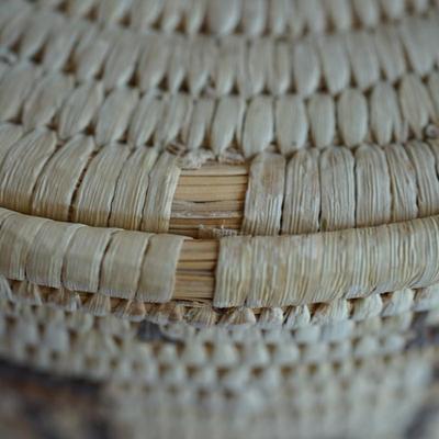 NATIVE AMERICAN PAPAGO GRASS WOVEN COVERED ROUND BASKET W/ ANIMAL FIGURES
