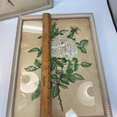 Pair of Retro Framed White Rose Original Art