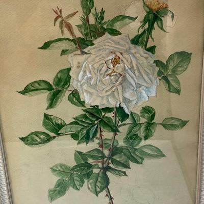 Pair of Retro Framed White Rose Original Art