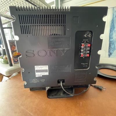 Sony SA-WM500 Active Sub