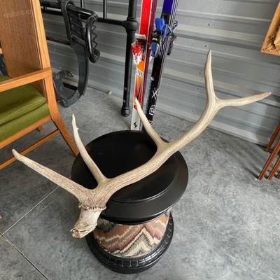 Large single Elk Antler - Dog chew - rustic art?