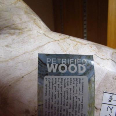 Petrified Wood with Polished Finish- Approx 10