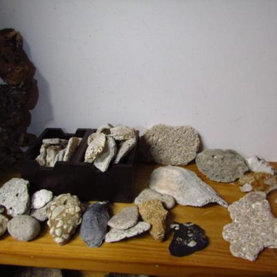 Selection of Ocean Related Specimens