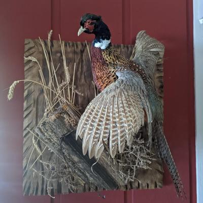 Pheasant Plaque 