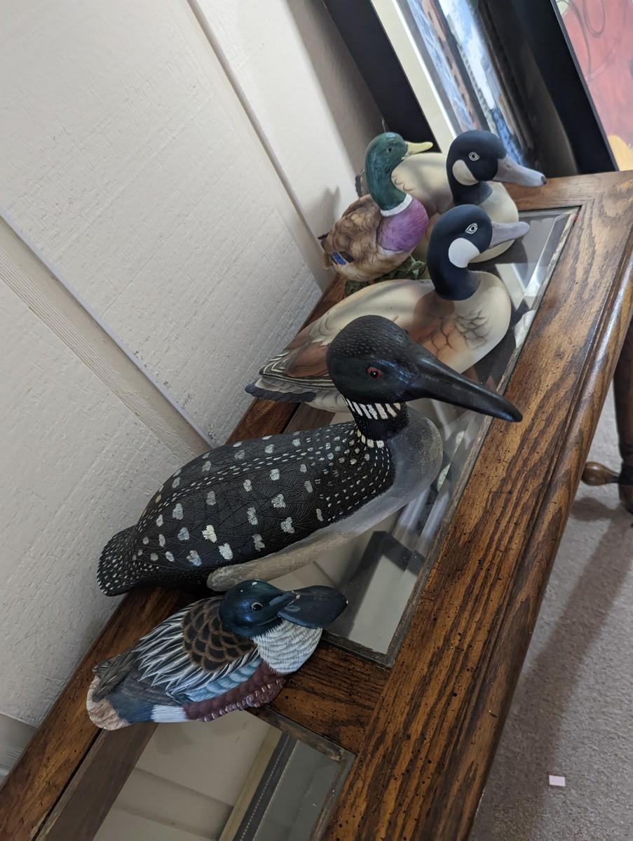 Wood Duck Collection