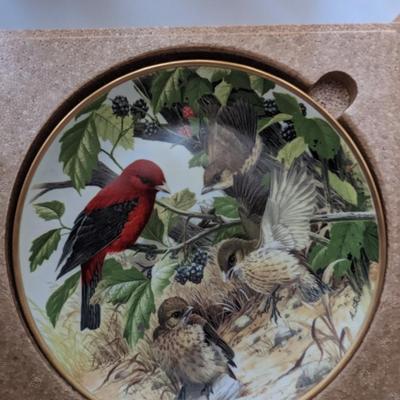 3 Collector's Bird Plates by AJ Rudisill