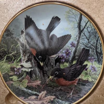 3 Collector's Bird Plates by AJ Rudisill