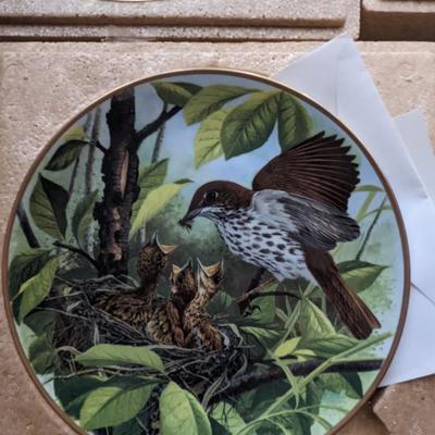 3 Collector's Bird Plates by AJ Rudisill