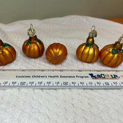 5 OWC Halloween pumpkin patch