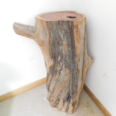Live Log Stump Accent Home Decor