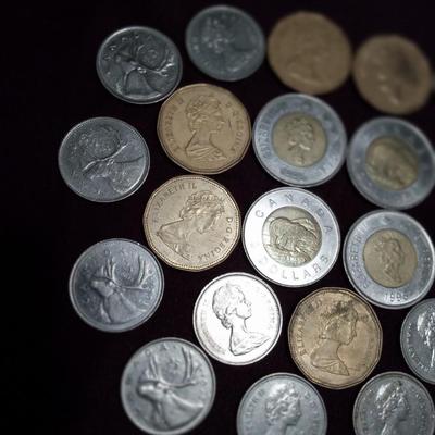 LOT 88  CANADIAN COINS