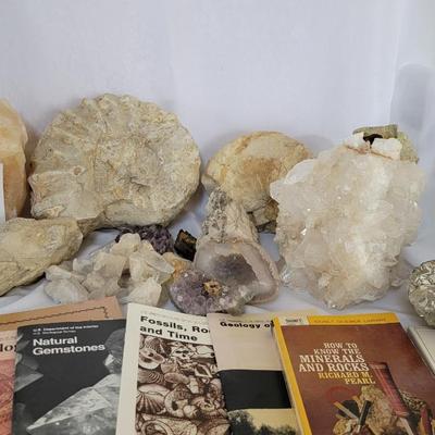 Rock and fossil collection with rock books
